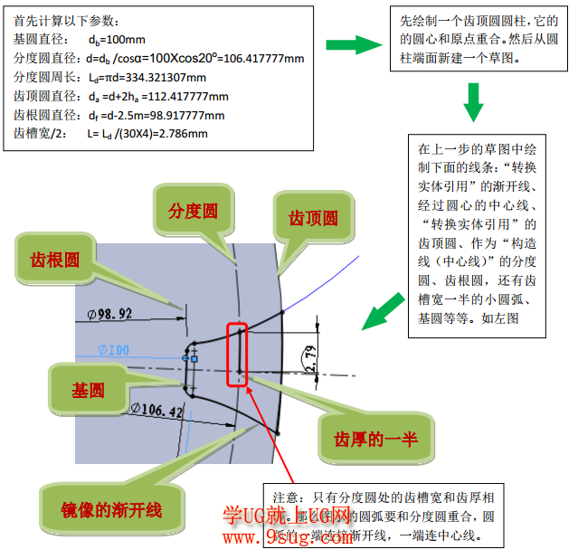 齿轮